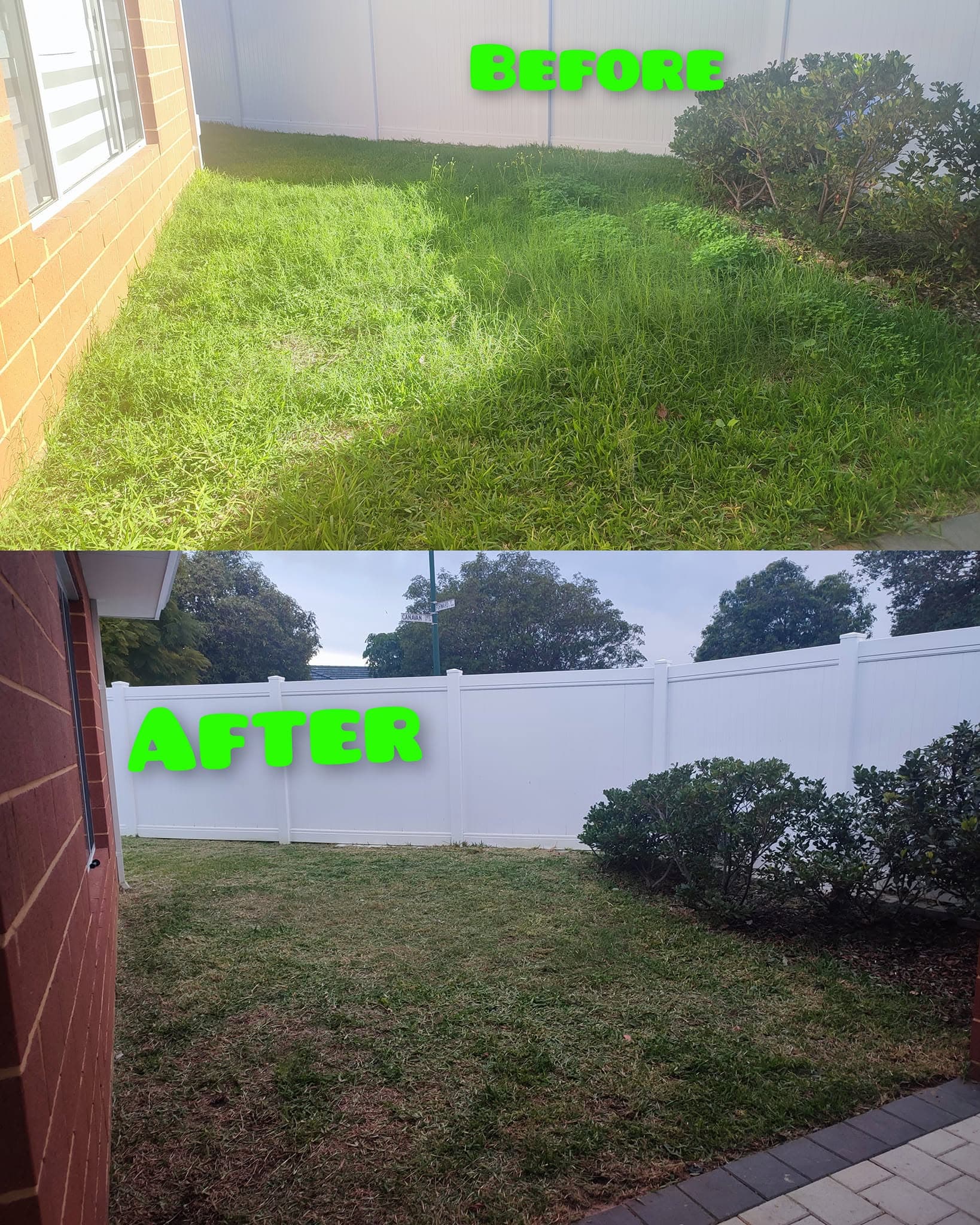 Lawn Mowing & Tidy Up Plants